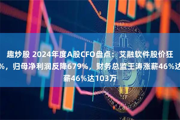 趣炒股 2024年度A股CFO盘点：艾融软件股价狂飙284%，归母净利润反降679%，财务总监王涛涨薪46%达103万