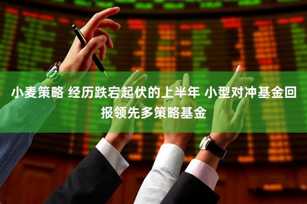 小麦策略 经历跌宕起伏的上半年 小型对冲基金回报领先多策略基金